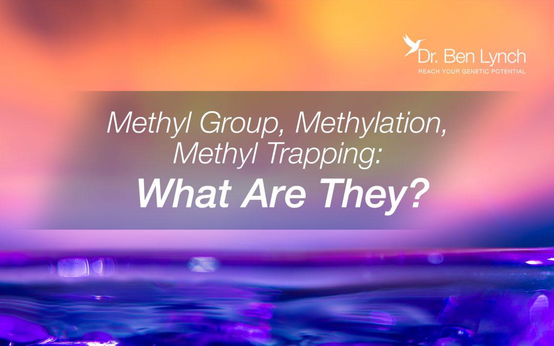 Dmg And Tmg In Methylation